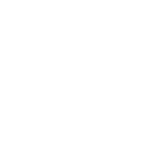 Hospitality AI Systems